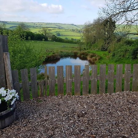 Eco Accommodation Cornflower Holiday Craven Arms Exterior photo