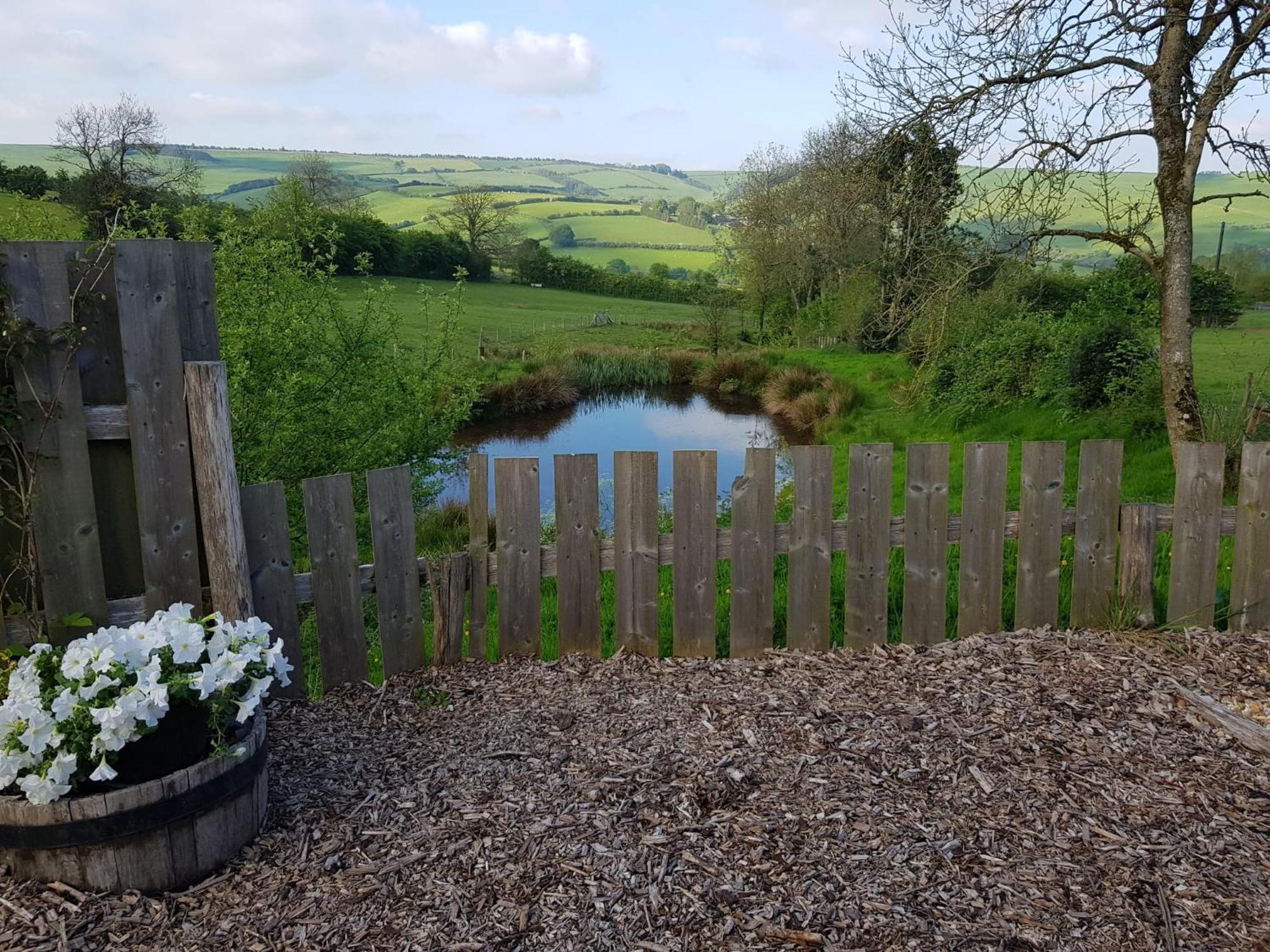 Eco Accommodation Cornflower Holiday Craven Arms Exterior photo