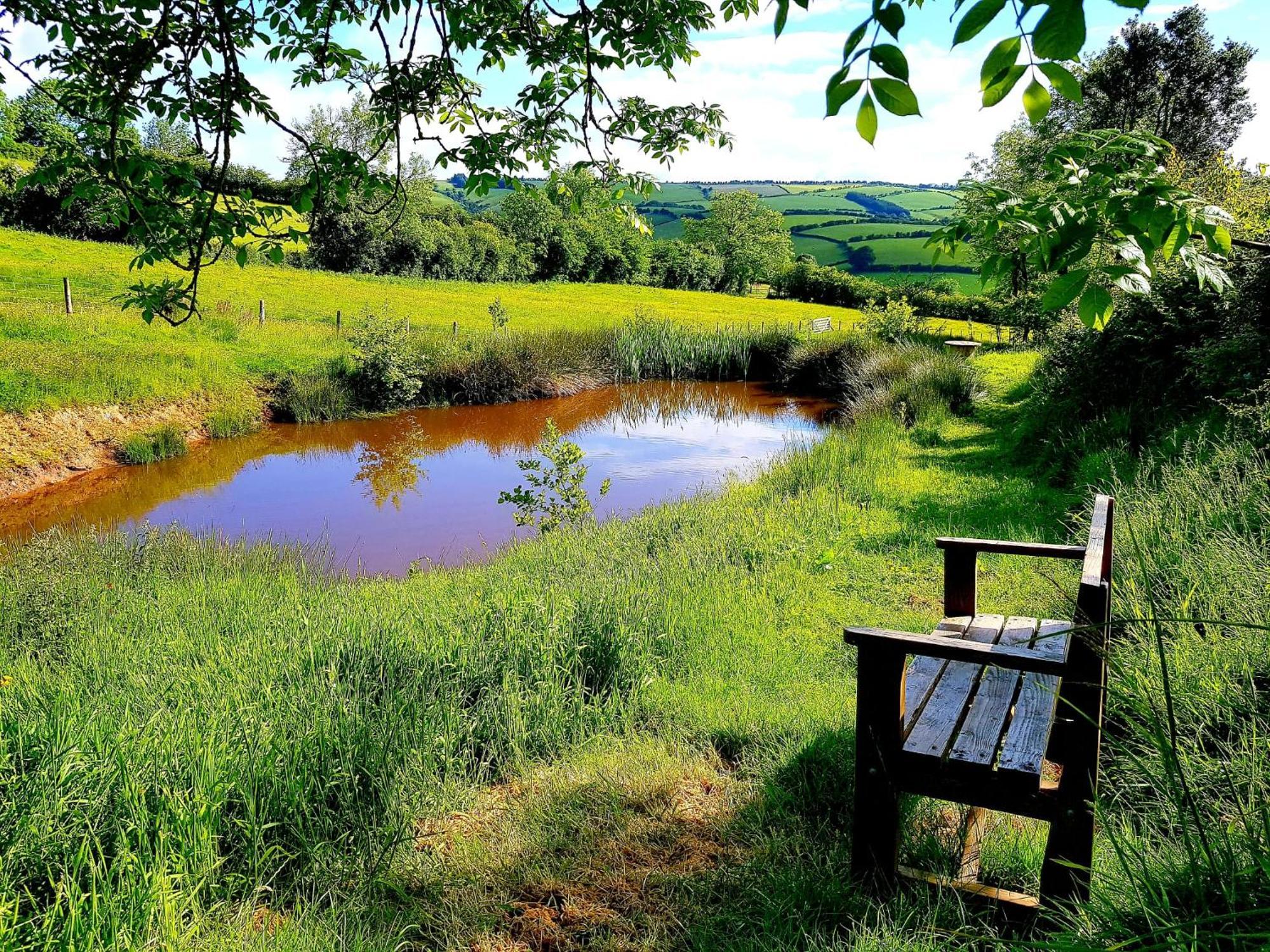 Eco Accommodation Cornflower Holiday Craven Arms Exterior photo